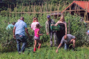 Lees meer over het artikel Sociale Voedseltuin in Barneveld